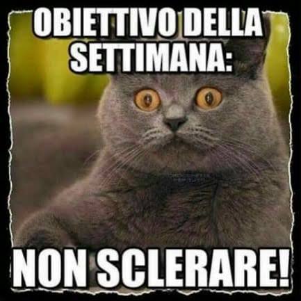 Tiziana tweet media