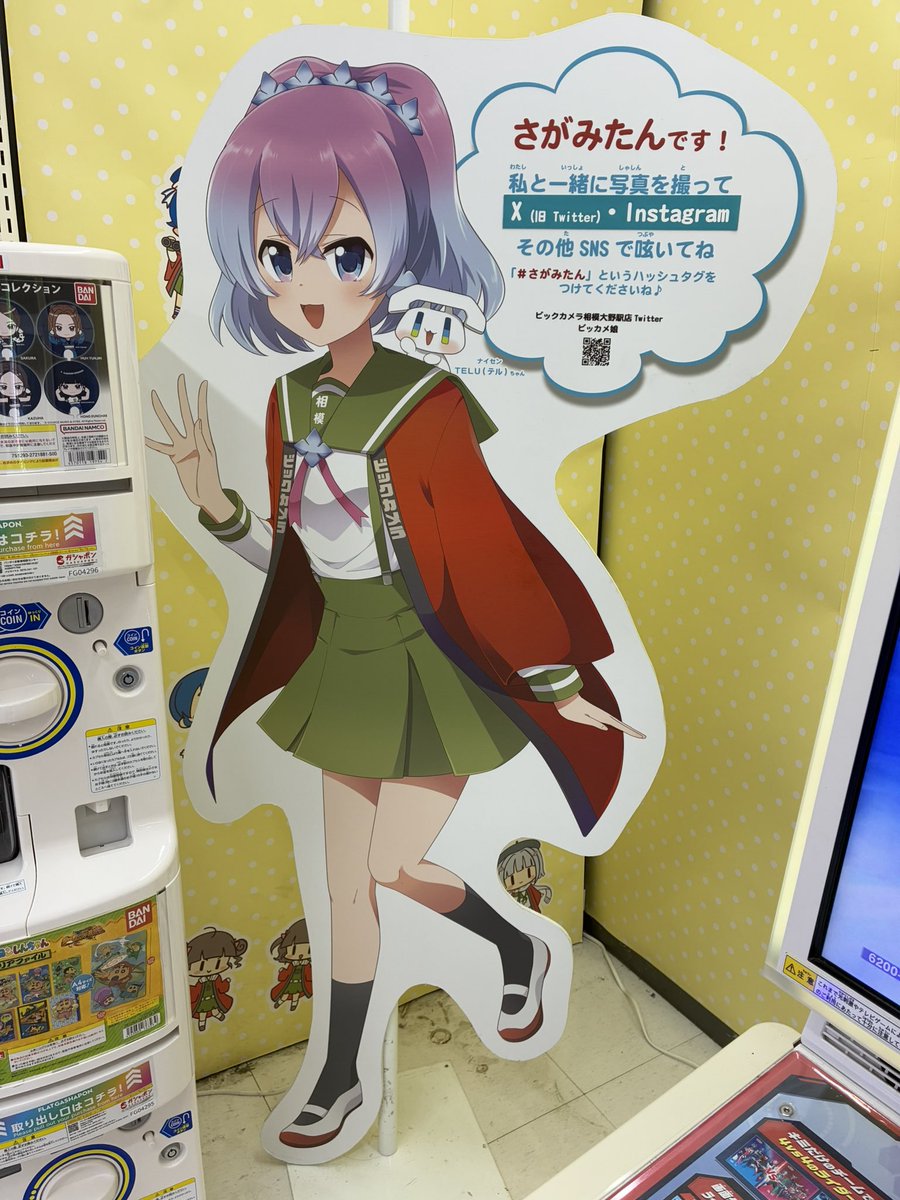 #ビッカメ娘　#さがみたん　#ナイセン
さがみたんに会いに行ってきたよ〜✨
選挙第2位おめでとう🎊
可愛いパネルに癒されました☺️