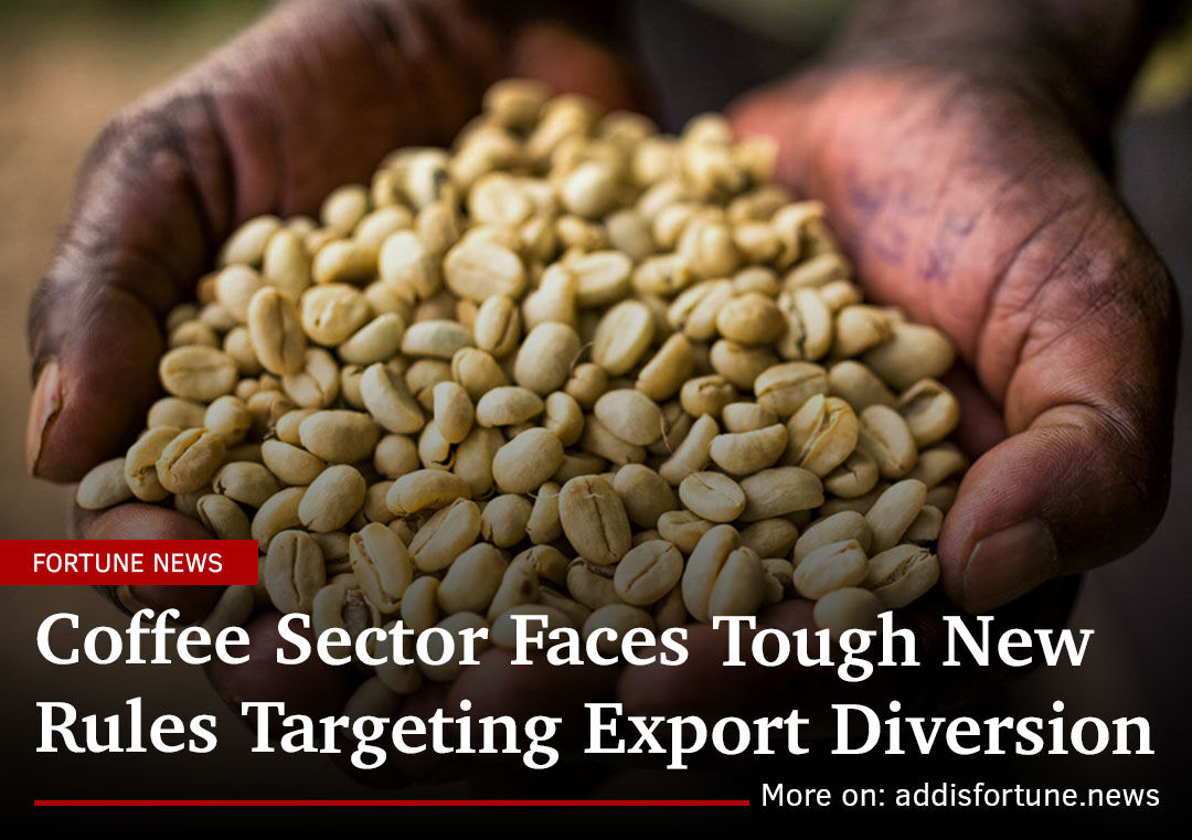 addis_fortune's tweet photo. #CoffeeExport A sweeping regulatory overhaul is reshaping the coffee industry, a market that has long been a cornerstone of the country’s economy.
Read more - https://t.co/ssVQG0kIUo https://t.co/PUnYYzH3tw