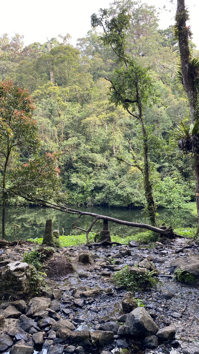 Lintas Gunung Gede Pangrango