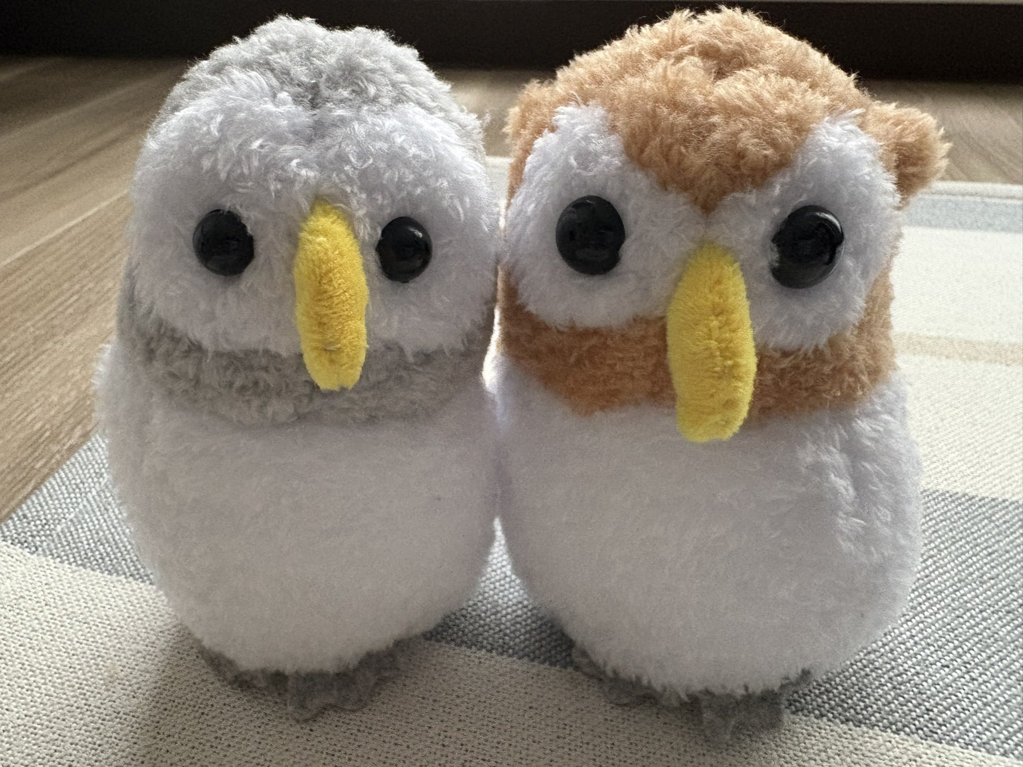 BanMof ばんばぱえりあ ラッコ ブラウン ぬいぐるみ BanMof ばんばぱえりあ ラッコ ブラウン ぬいぐるみ BanMof