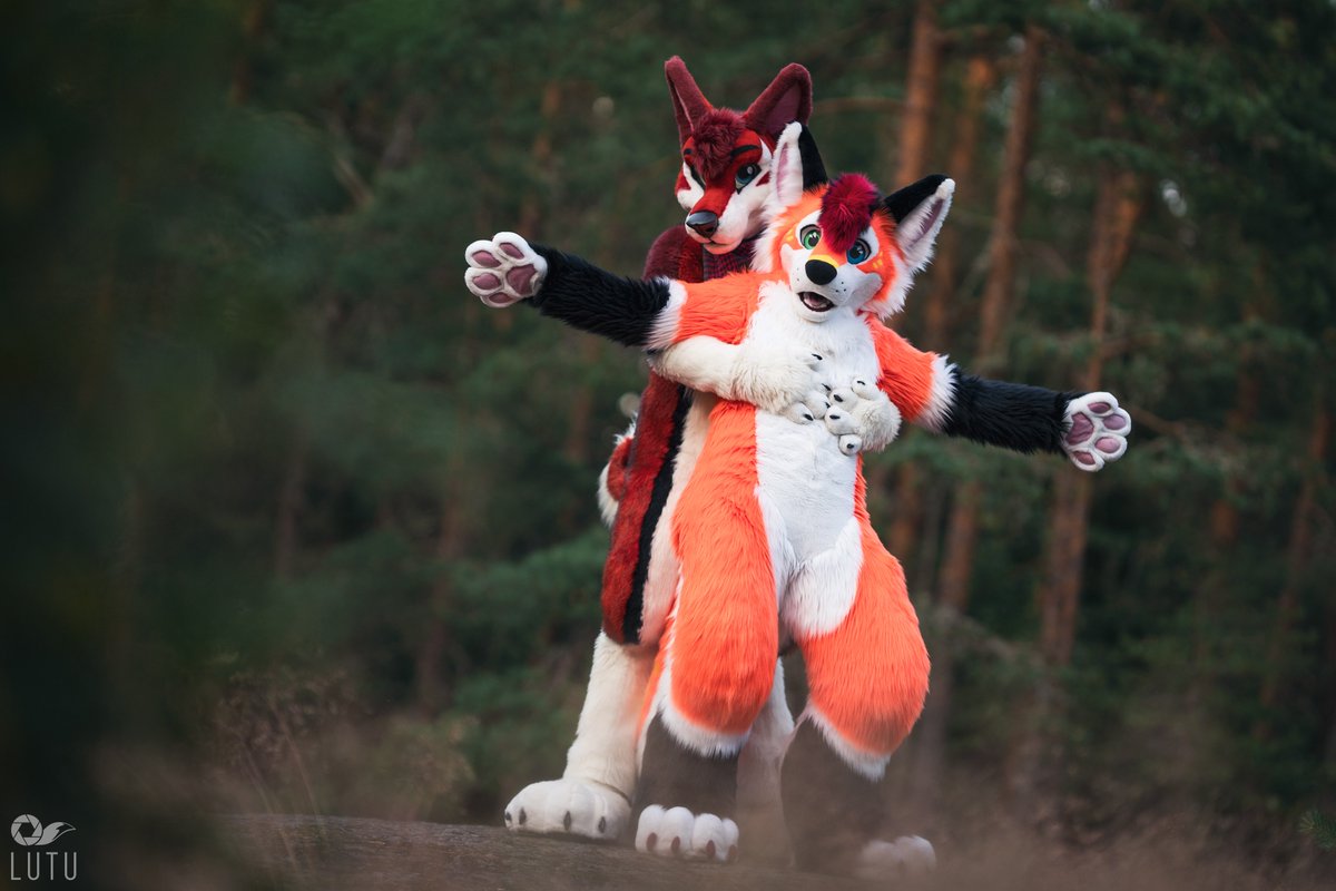 ✨ Furry couples ✨ 
Also happy new week!

📸: <a href="/Lutufox/">Lutu 💙💛</a> 
♥️🐶: <a href="/KayJayFIN/">KayJay</a> 

#FursuitEveryday