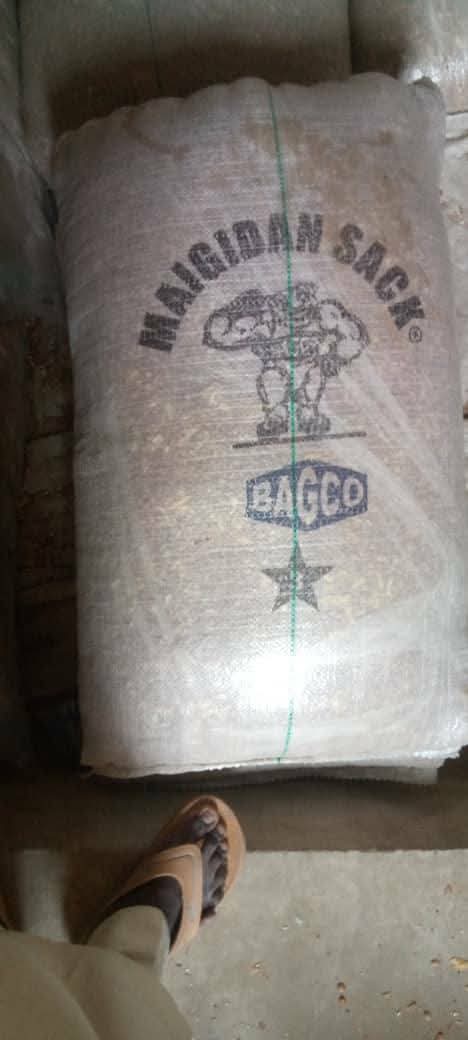_Amdfarms's tweet photo. We've 400 BAGS of Premium Maiduguri Brown Beans 
Available right now @ ₦70,000 per bag only per 50kg bag

Clean &amp; well–sorted
Direct from Maiduguri farmers
Perfect for bulk buyers, processors &amp; exporters
Ready for immediate pickup / swift delivery

It's available for immediate https://t.co/mIU1Ud684J