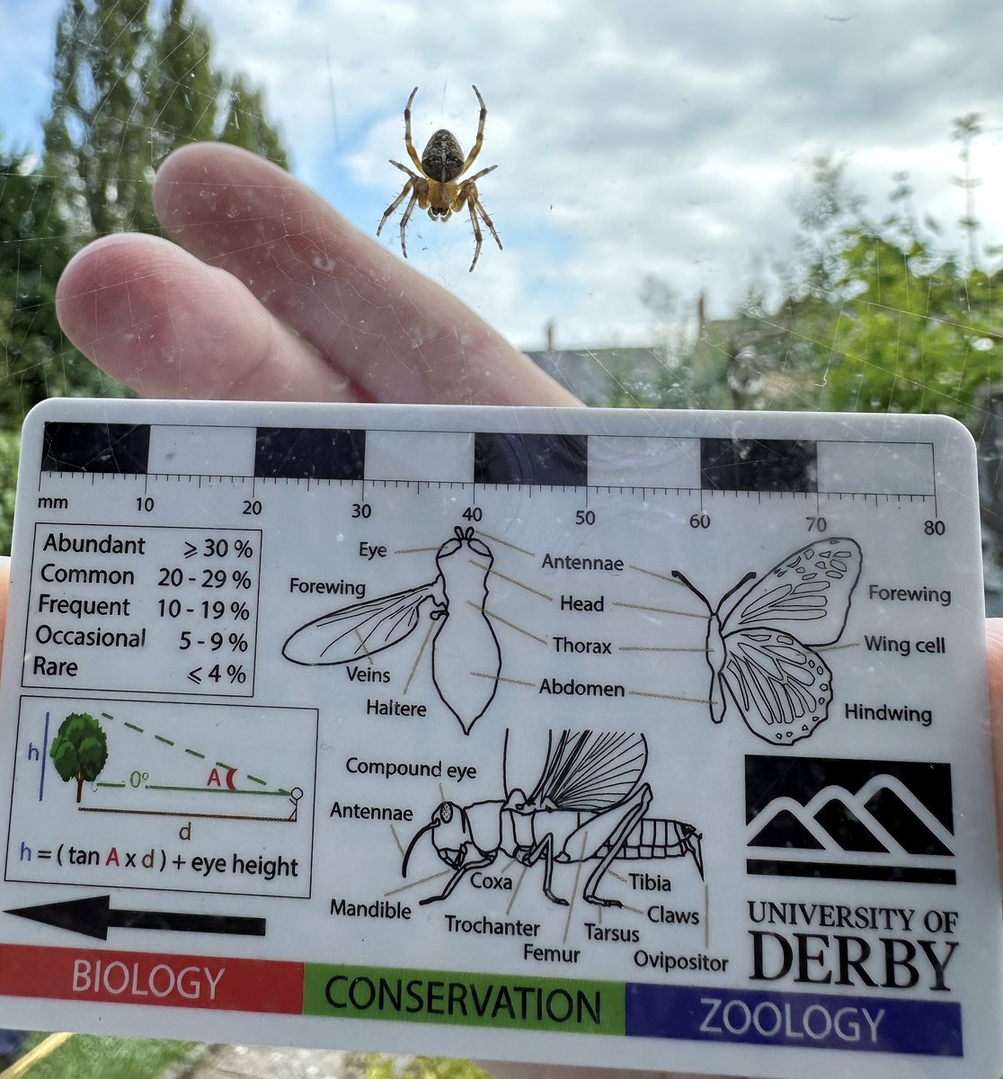 Annette Lokier tweet media