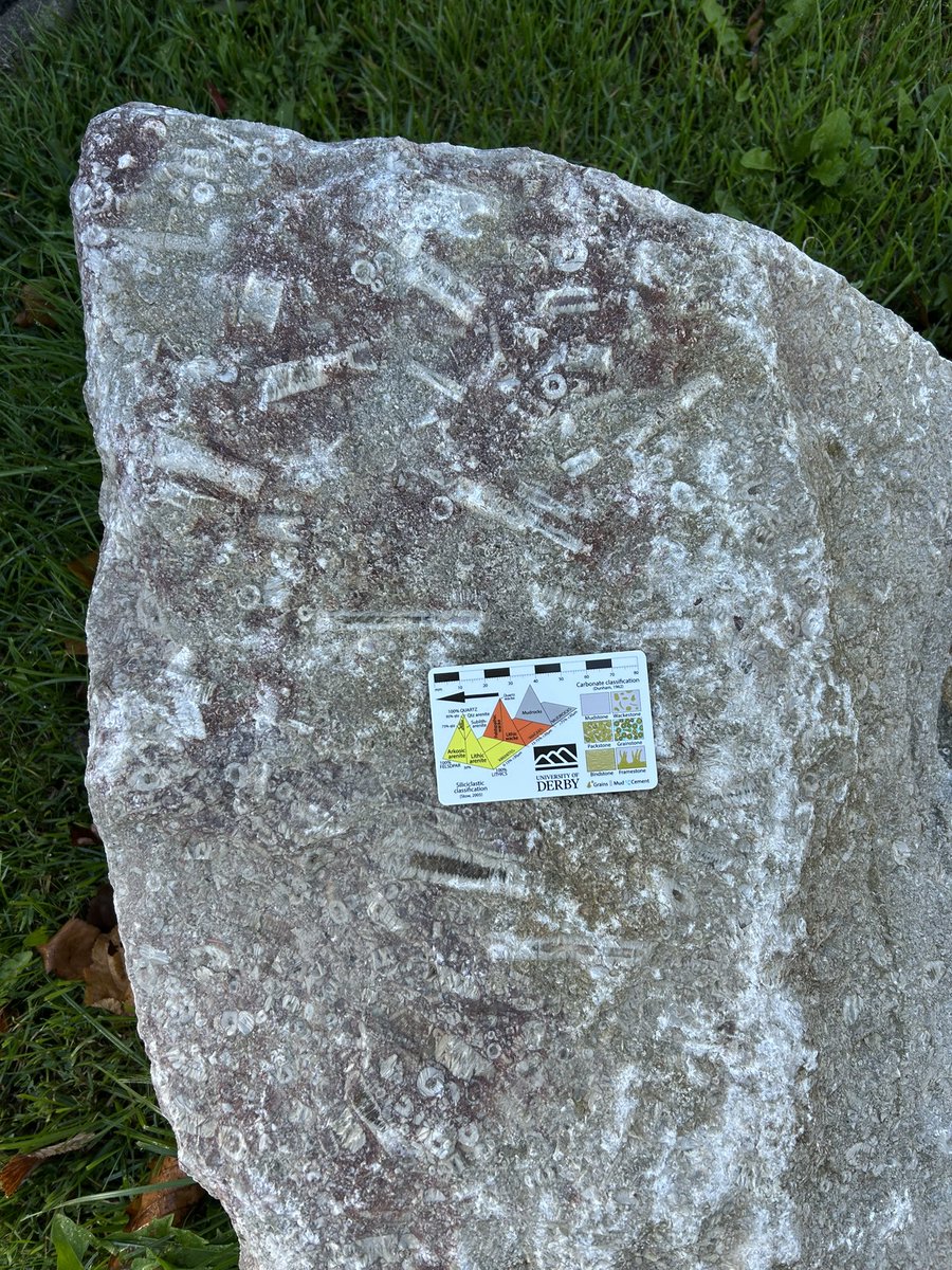 Annette Lokier tweet media