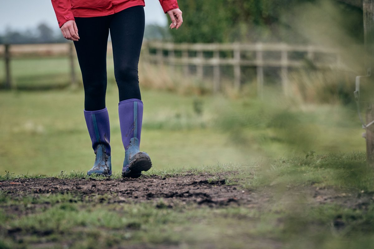 Our ever reliable Frostline violet! 💜