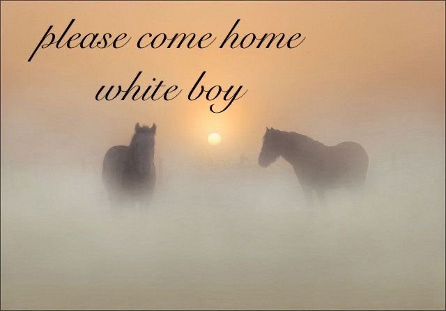 2 weeks without fontaines dc i might blow up