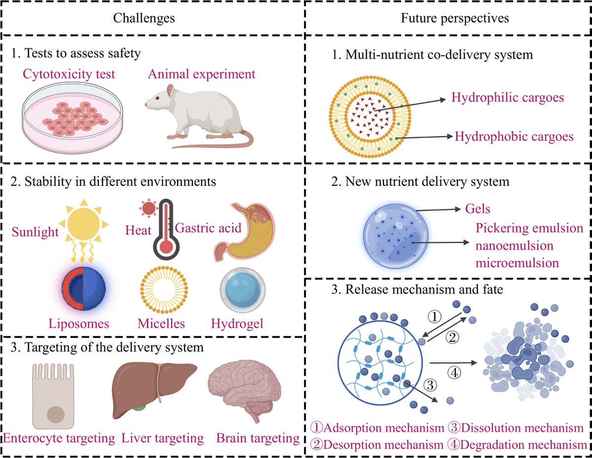 FoodAdvance1's tweet image. #FMR #newdelivery #foodgrade #challenge
Food-grade nutraceuticals face issues like instability and poor solubility. FNDS tech helps but still has challenges. We need safer, more stable systems. 🍽️🔍
@MaximumAcademic @ESEjournal
Details: maxapress.com/article/doi/10…