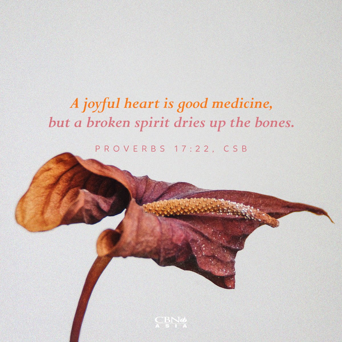 Joy is life-giving. When we choose gratitude and hope in hard seasons, it refreshes our spirit like medicine. True joy comes from God—restoring, strengthening, and filling us with hope. Want to experience this joy? Read: cbnasia.org/know-jesus