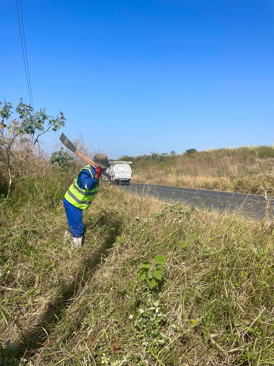 _ArriveAlive's tweet image. Massive Clean-Up on the KZN Mid-South Coast Is Creating an Investor-Friendly Environment

tinyurl.com/2b8nrt6f

#ArriveAlive #VegetationControl #GrassCutting