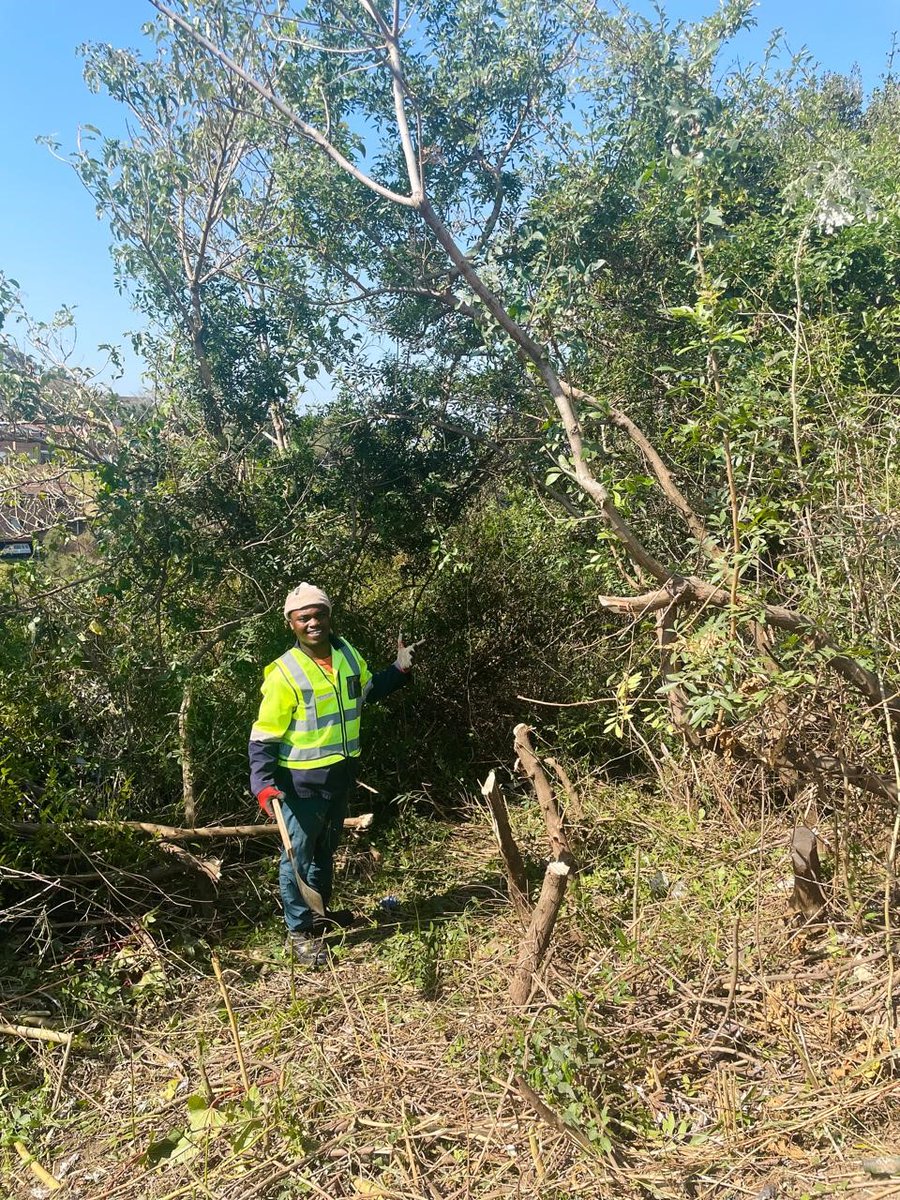_ArriveAlive's tweet image. Massive Clean-Up on the KZN Mid-South Coast Is Creating an Investor-Friendly Environment

tinyurl.com/2b8nrt6f

#ArriveAlive #VegetationControl #GrassCutting
