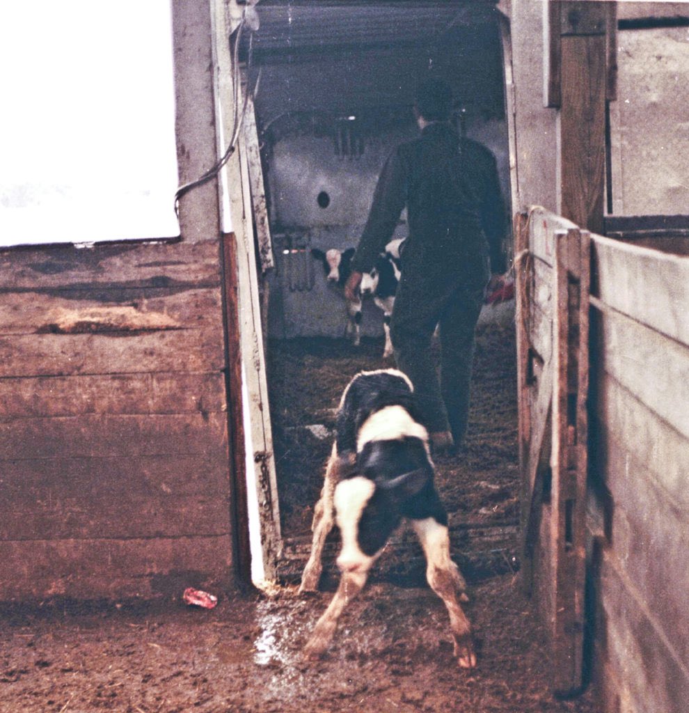 You run no risk of being born in our place, and so you see this world of omnipresent terror as peripheral, insignificant.  How quickly your apathy would turn to alarm if another species visited this on you.

We are #OneBillionScreams
We are <a href="/PolAnimalClass/">We Are One Billion Screams</a>