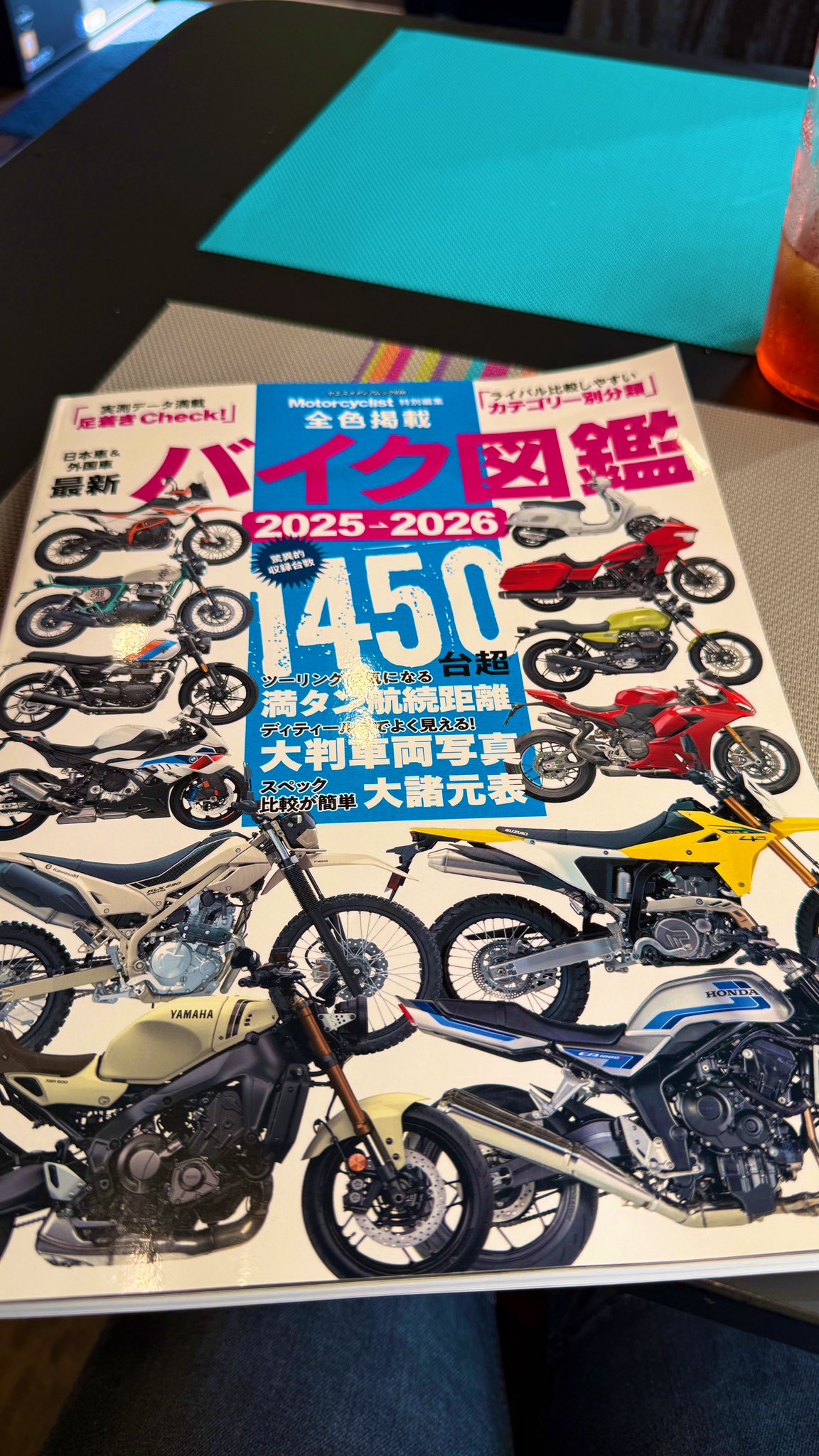 ポージーシモンズ、【そして数ヶ月後】、希少な額装用画集より、新品額装付 ポージーシモンズ、【そして数ヶ月後】、希少な額装用画集より