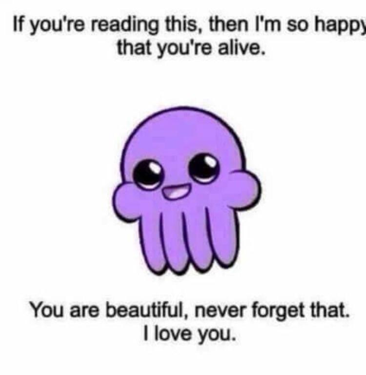 WholesomeMemes (@wholesomememe) on Twitter photo 