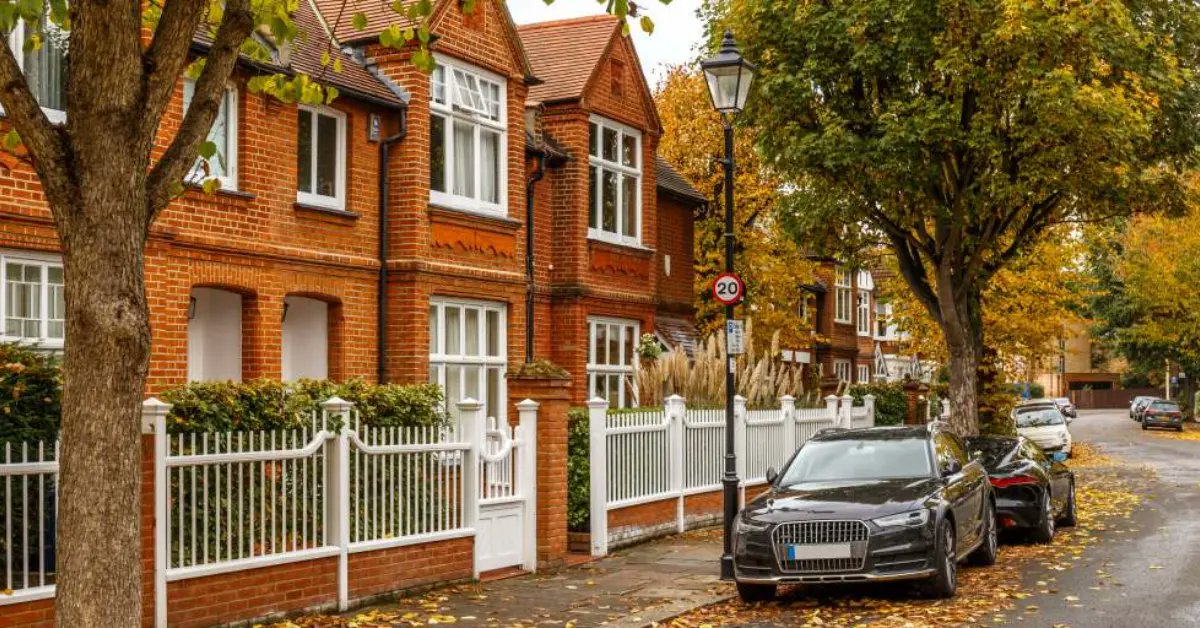 Robert Holmes & Co tweet media