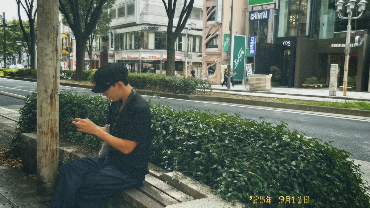 진영시 🐿