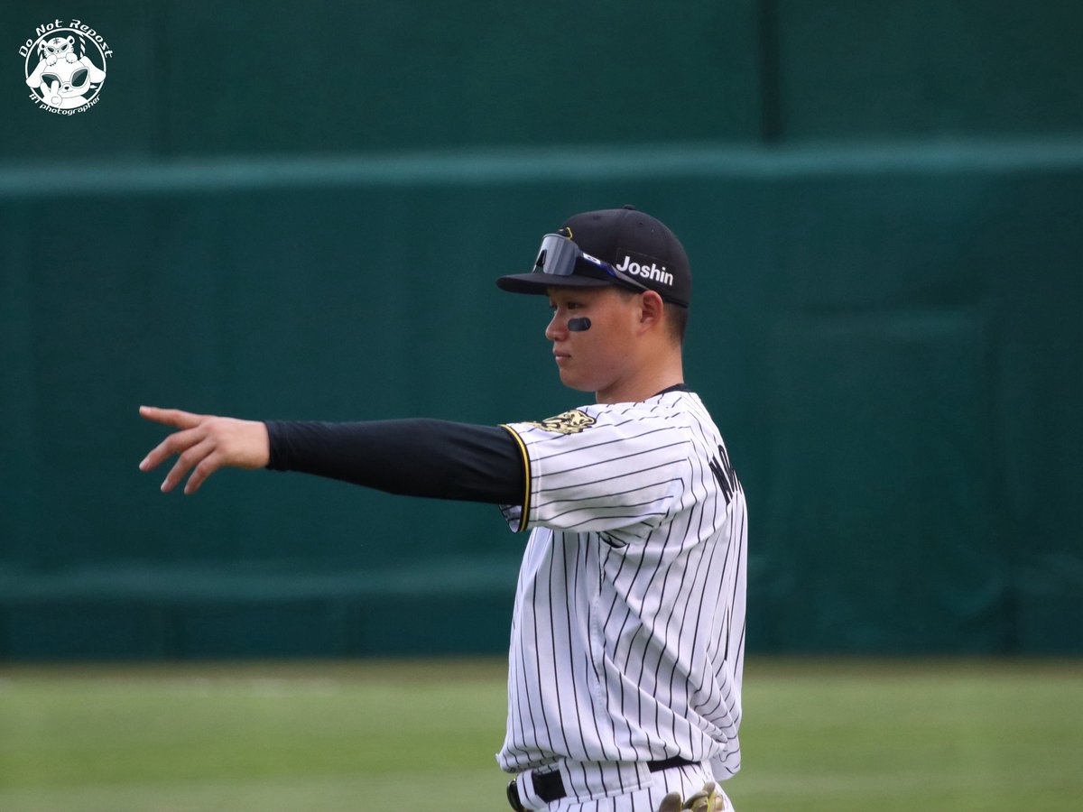 阪神タイガース　森下 翔太 選手　ボブルヘッド　2025年 甲子園球場 阪神タイガース 森下翔太選手 ボブルヘッド 2025年 甲子園球場