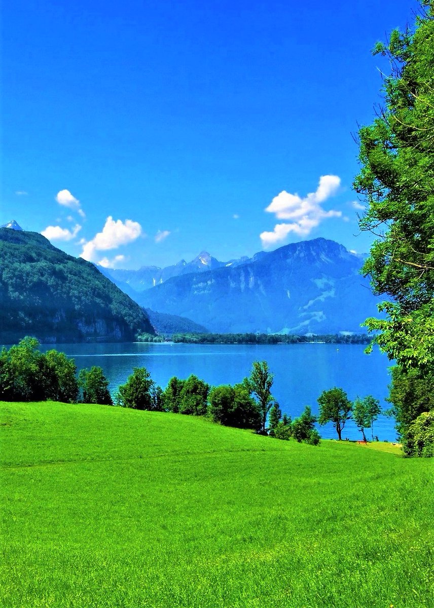 MayaWillia23947's tweet image. Walensee-Switzerland.