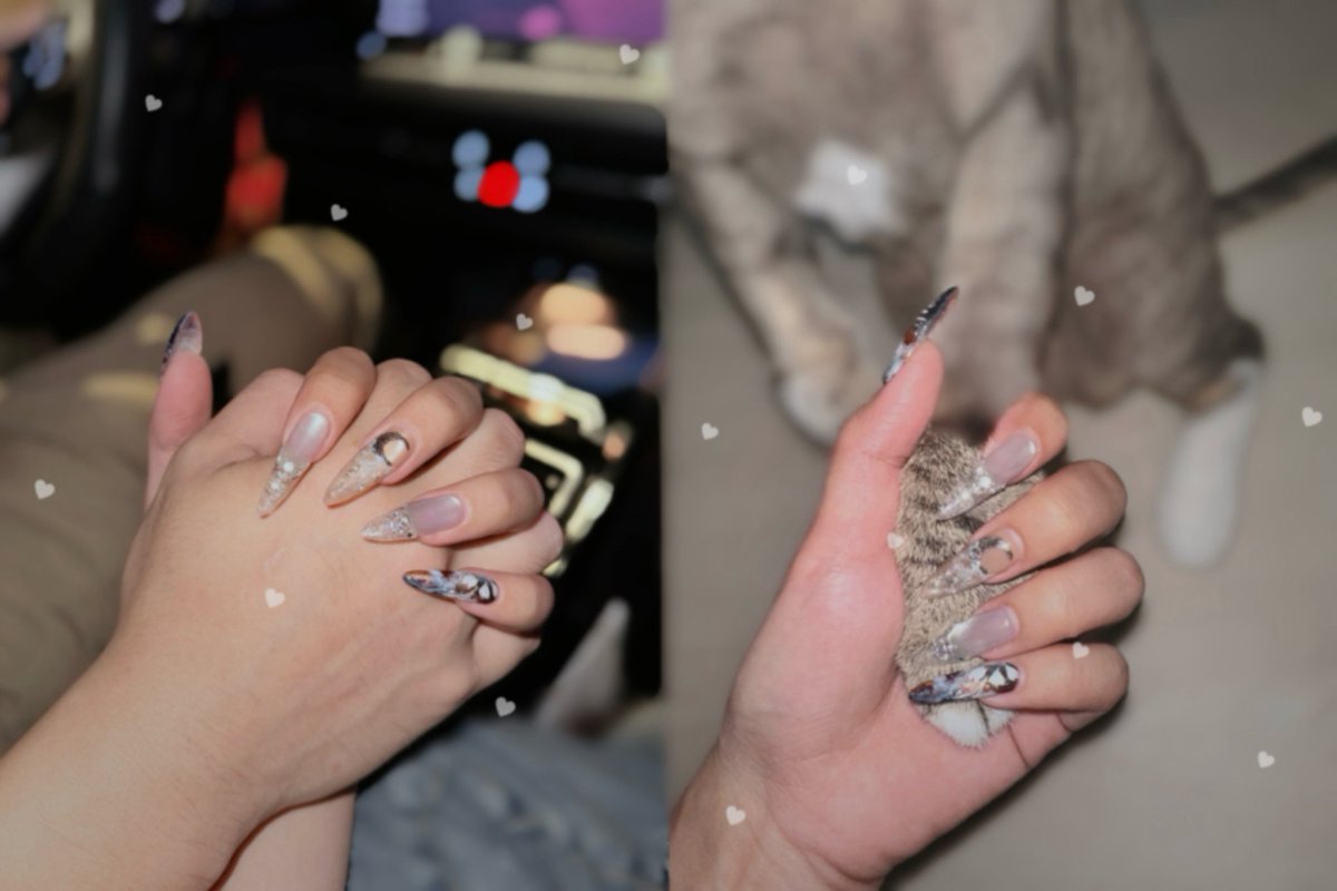 這次的爪是要讓我叉水果的系列嗎
平常都要很小心的…….吃水果😗
這長度下不為例🙂‍↔️！

枕邊人問幹嘛要拍？
好吧那我找貓貓拍😤