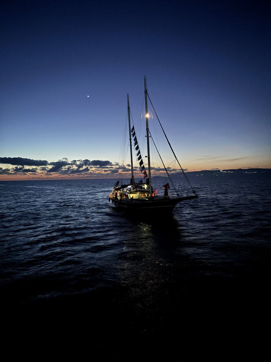 🇵🇸⚓️🏴‍☠️