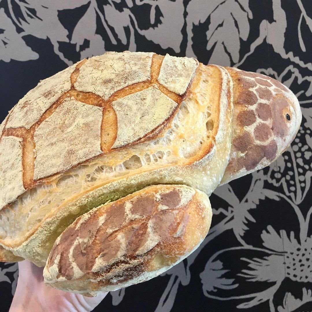 faewings's tweet image. sea turtle sourdough ♥︎