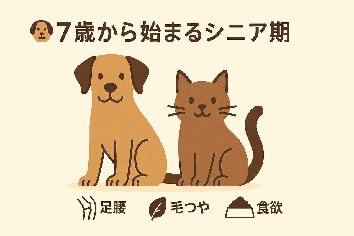 petkusuri's tweet image. 🐶🐱7歳から始まるシニア期
足腰や毛つや、食欲の変化に注意！

✔ 定期健診で早期発見
✔ 体重管理で関節にやさしく
✔ サプリで健康維持

👉犬猫向けサプリ一覧👇
petkusuri.com/categories/pet…

#シニア犬 #シニア猫 #犬の健康 #猫の健康 #犬サプリ #猫サプリ #ペットケア