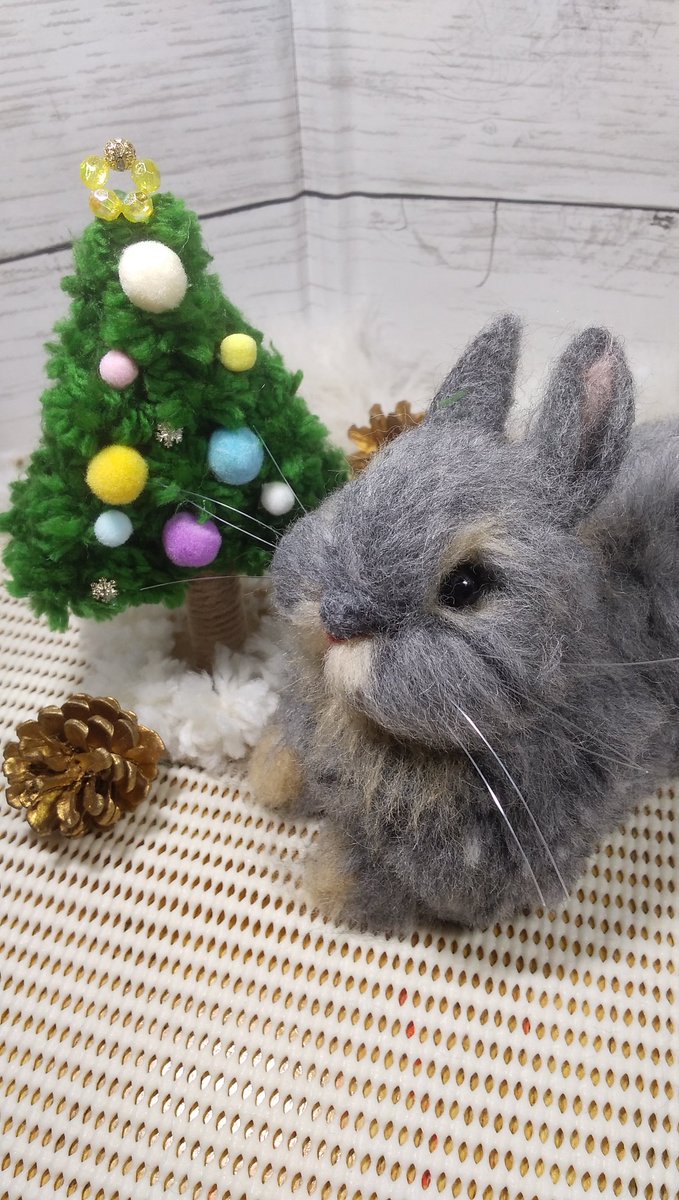 MEGU羊毛フェルト (@pyontalion11) / Posts / X