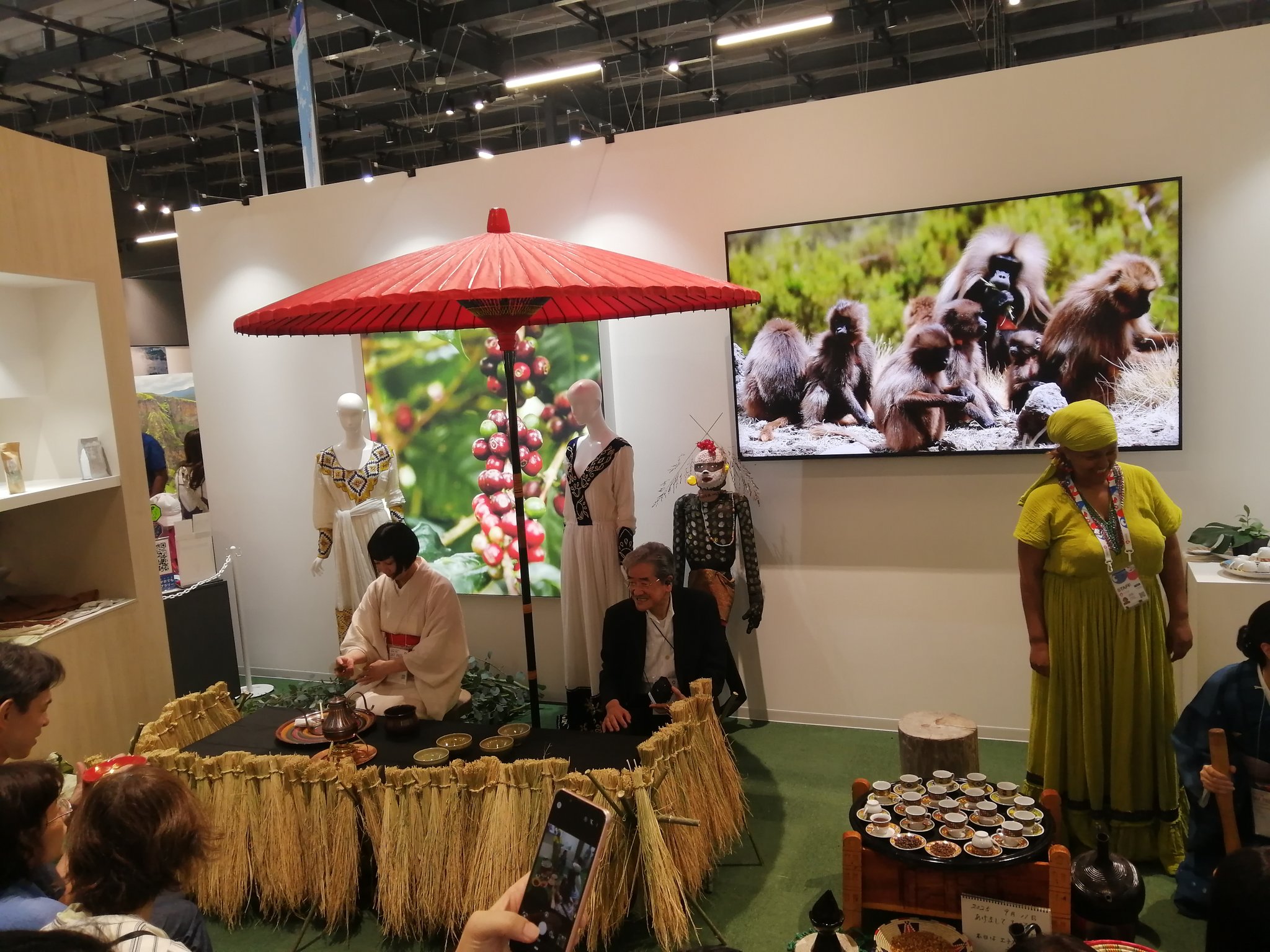 ForettoPistacchio on X: 