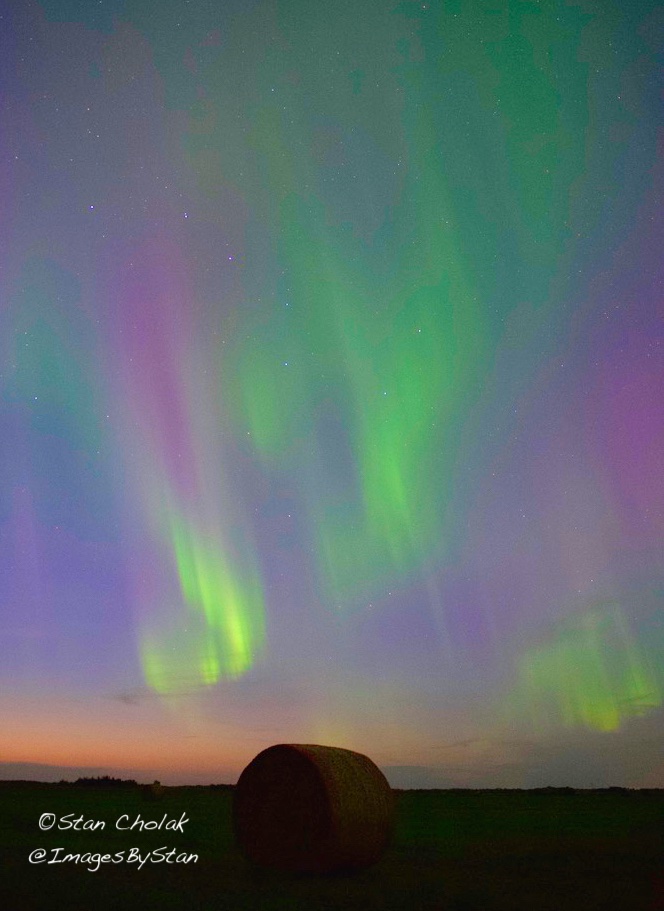 Lady #Aurora came out to Dance tonight. 💃💃💃 <a href="/chunder10/">James Rowley-Hill</a> <a href="/mikesobel/">Mike Sobel</a> <a href="/TamithaSkov/">Dr. Tamitha Skov</a> <a href="/CiaraYaschuk/">Ciara Yaschuk</a>