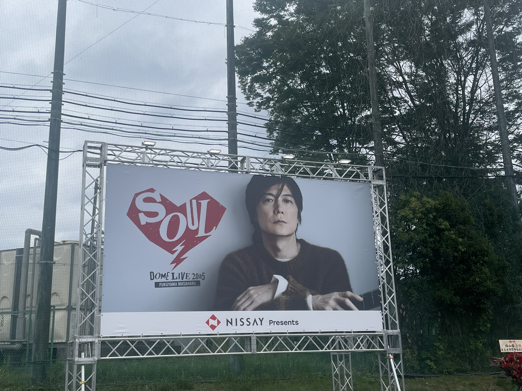 矢沢永吉SBT イナズマロゴ✖️チェッカー 矢沢永吉SBT イナズマロゴ✖️チェッカー 2025年最新】矢沢sbtの