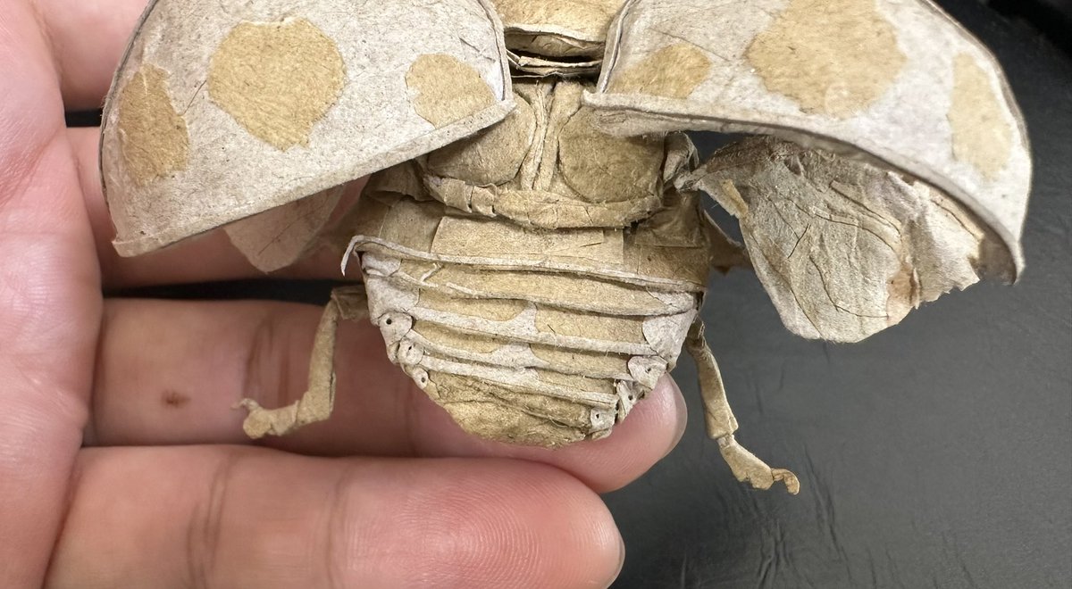 テントウムシ - Search / X