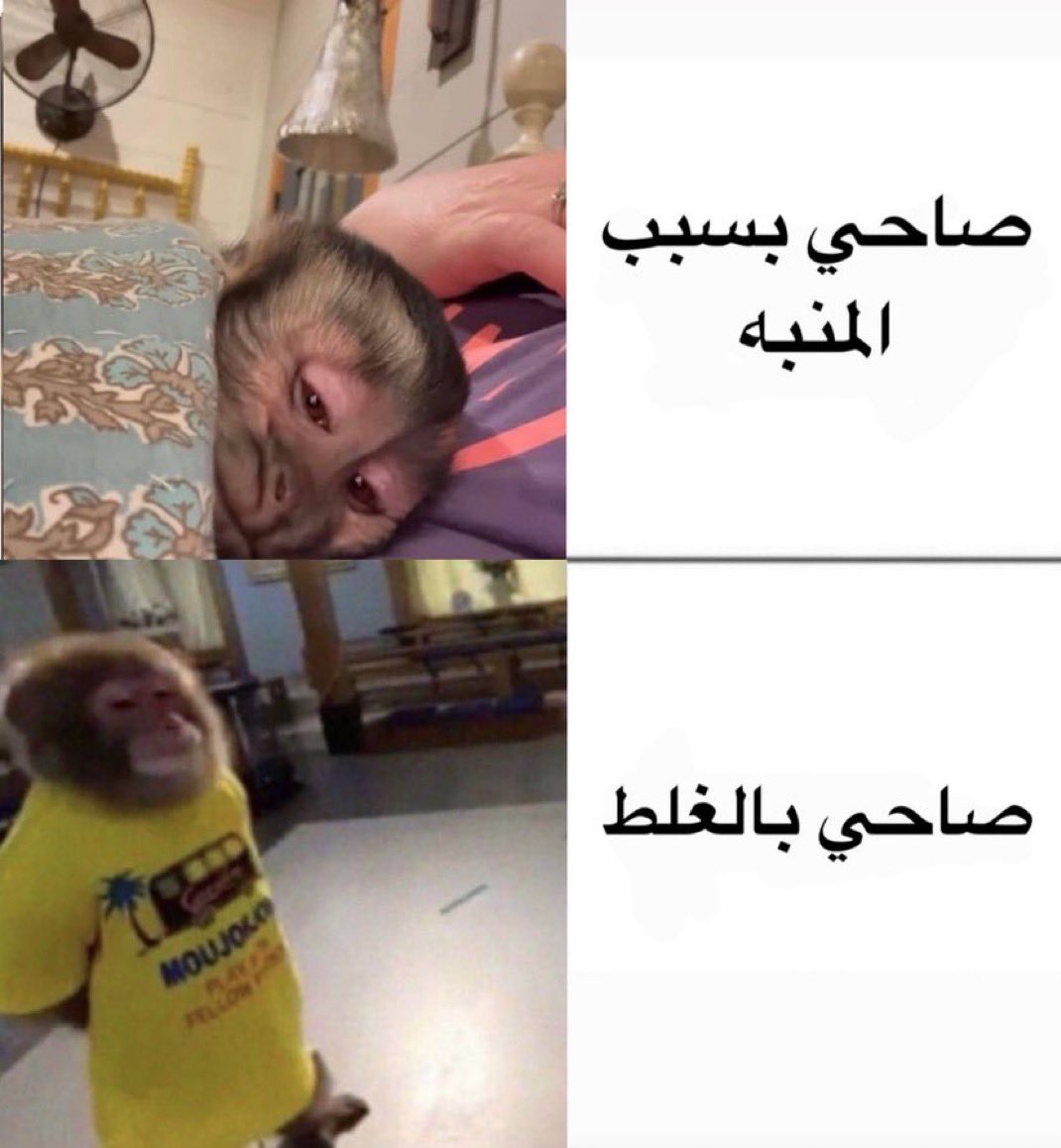 منصور (@i14nn) on Twitter photo 