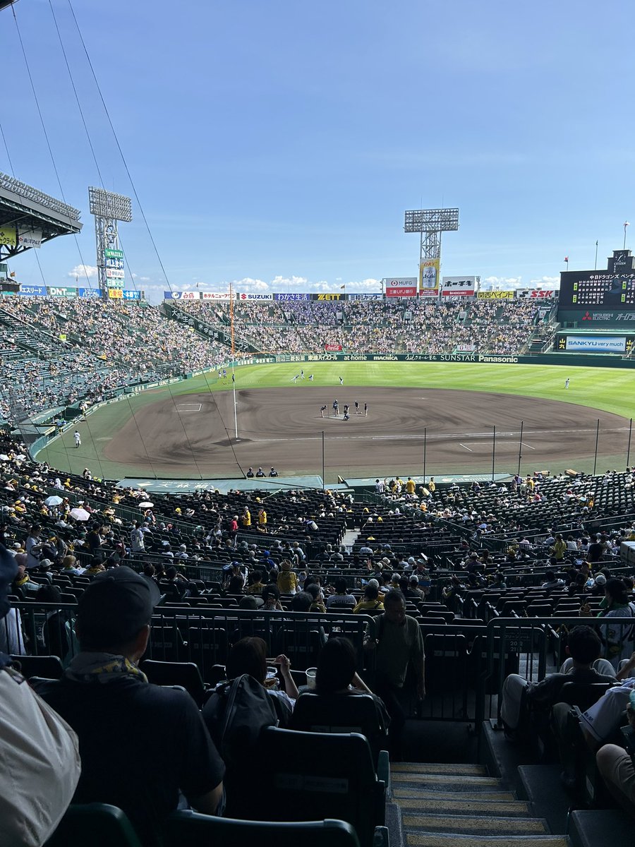 チケットもらったので今ここ。