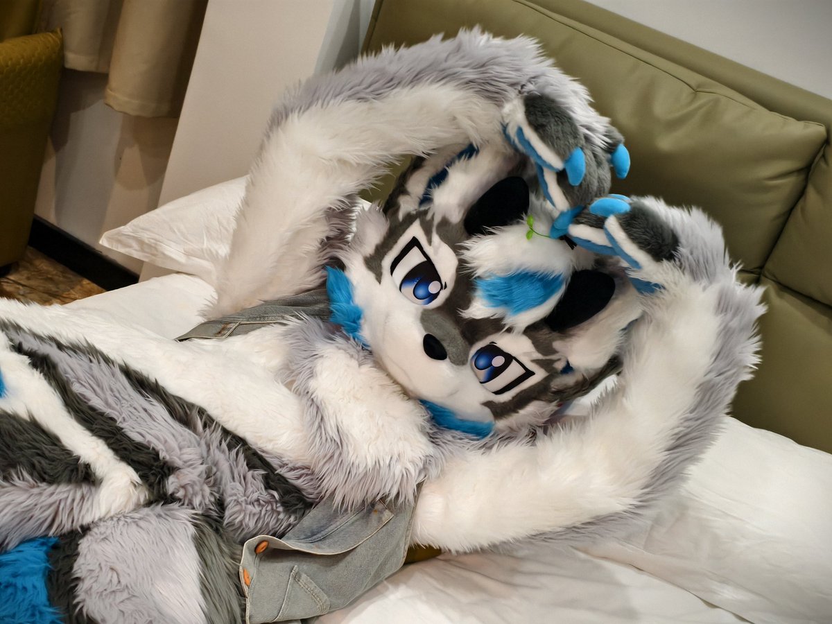 有时候特别喜欢一个人待在屋里  戴着耳机  听着自己喜欢的歌  感觉浑身都好放松     身处整个世界一样😍 ＃furry #furmony