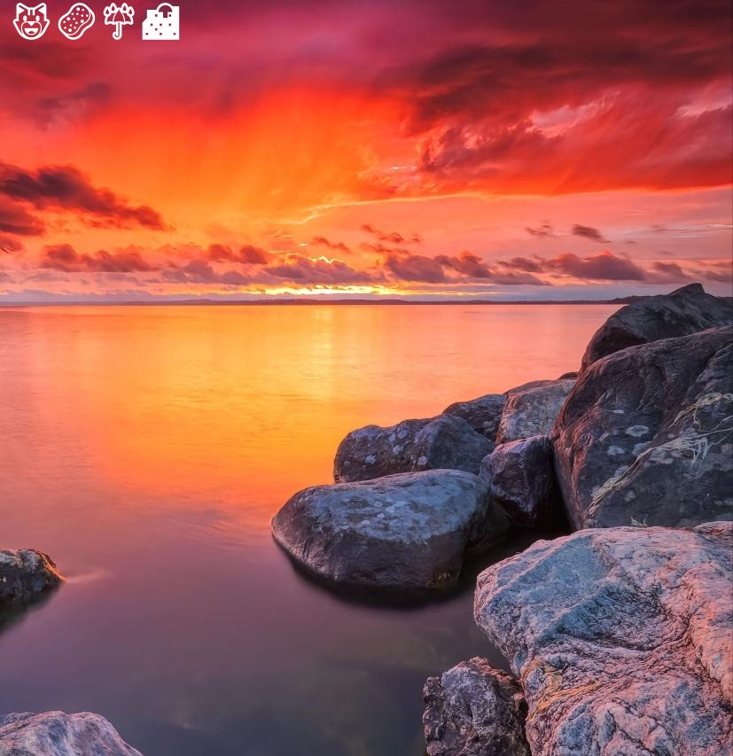 You are capable of amazing things.