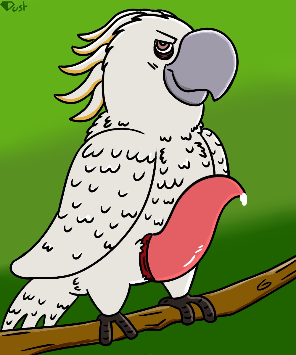 Starting my birb arc, perhaps...
We start with Nigel from Rio