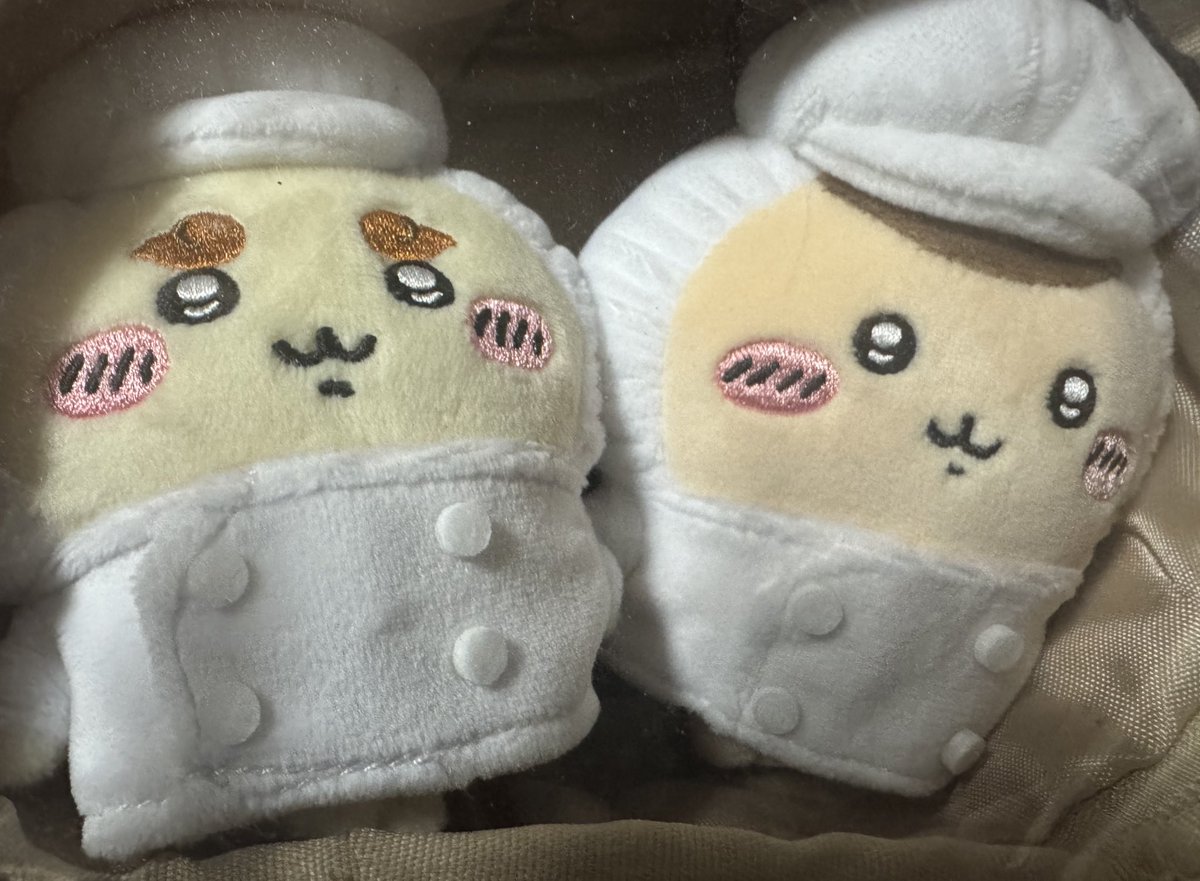 メアリーホルスダッドクリーム色ぬいぐるみ 花柄ドレス