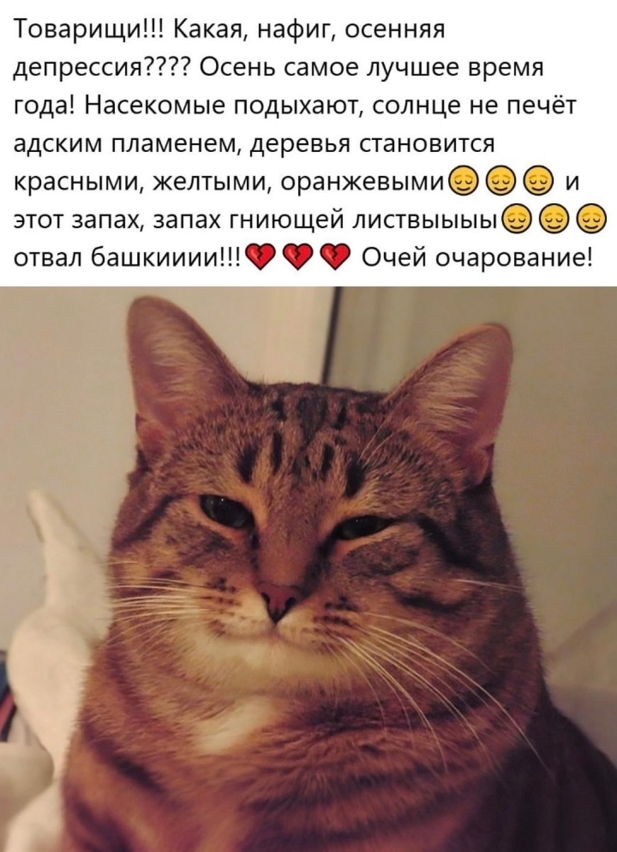Лучшее время года