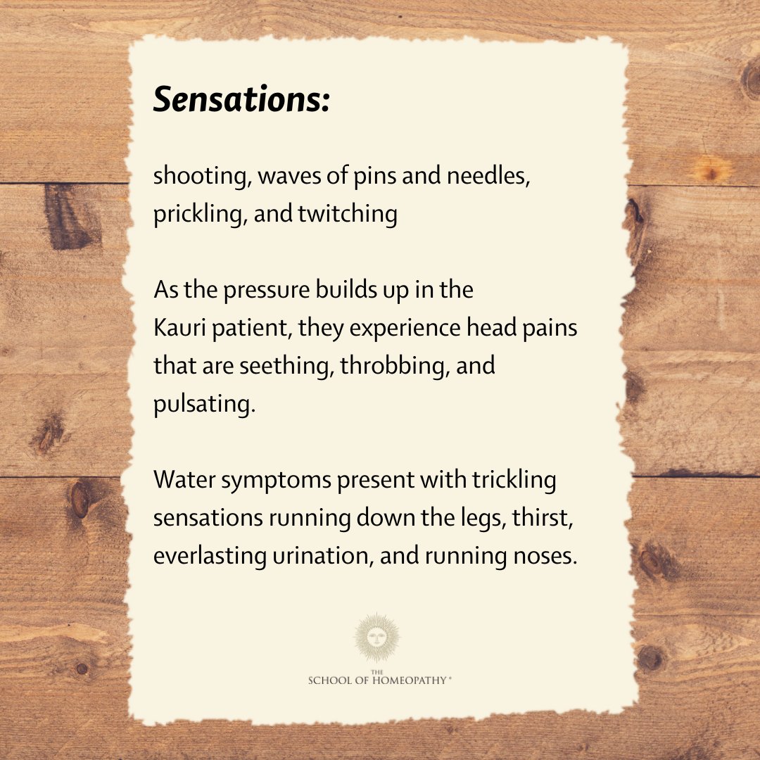 HomeopathyEdu's tweet photo. To read a synopsis of the Kauri Tree proving, including a video of Misha Norland discussing the themes, and to download the complete proving, visit our website: https://t.co/TufKfp5ro9 #kauritree #homeopathicproving #homeopathy #homeopathyforall #BeBetterNaturally https://t.co/t8MRLWNQyB