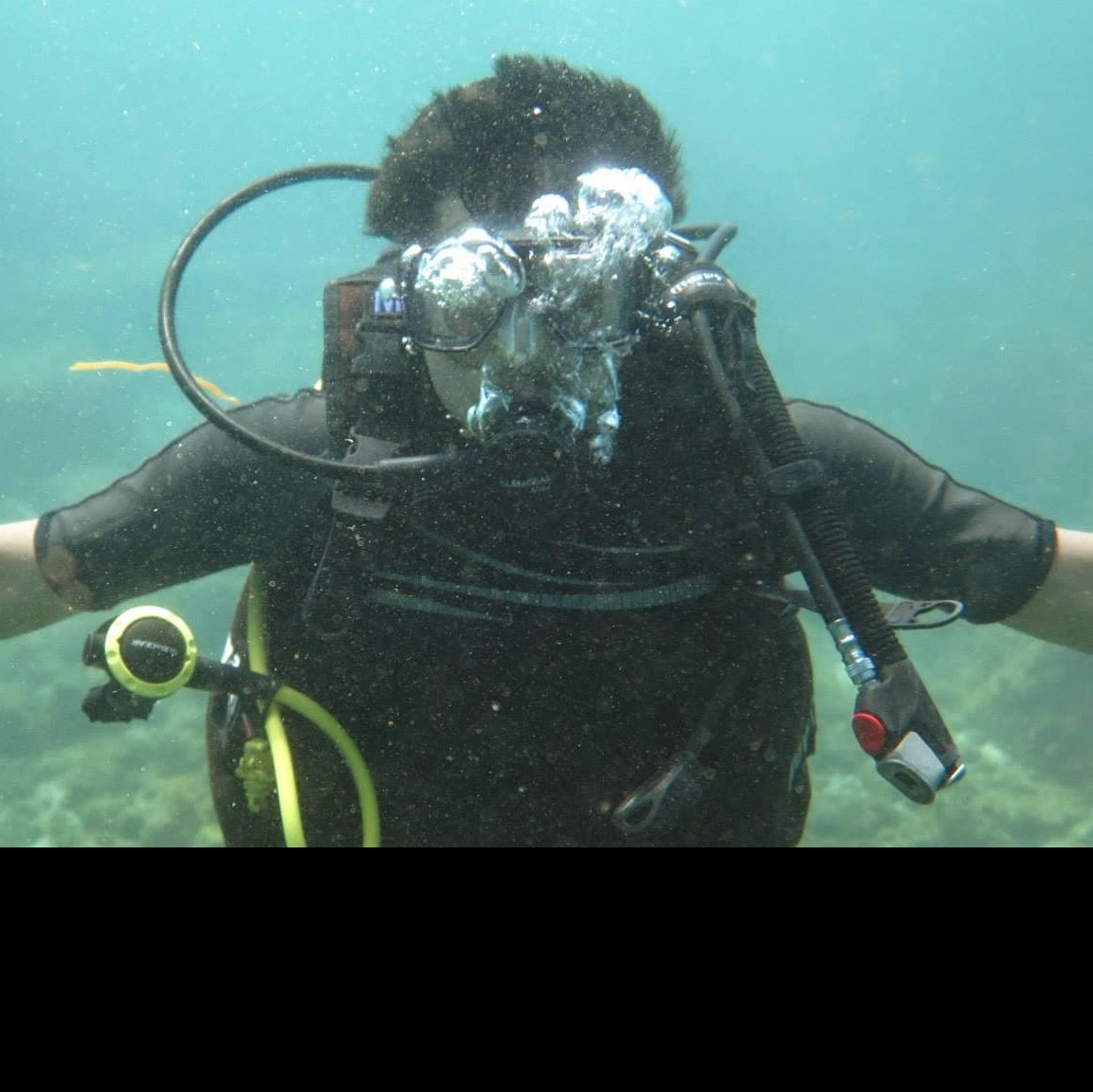 dashe21's tweet photo. If the oceans get any more warm, these will be our LinkedIn profile pic! https://t.co/vxGAc9GY1M