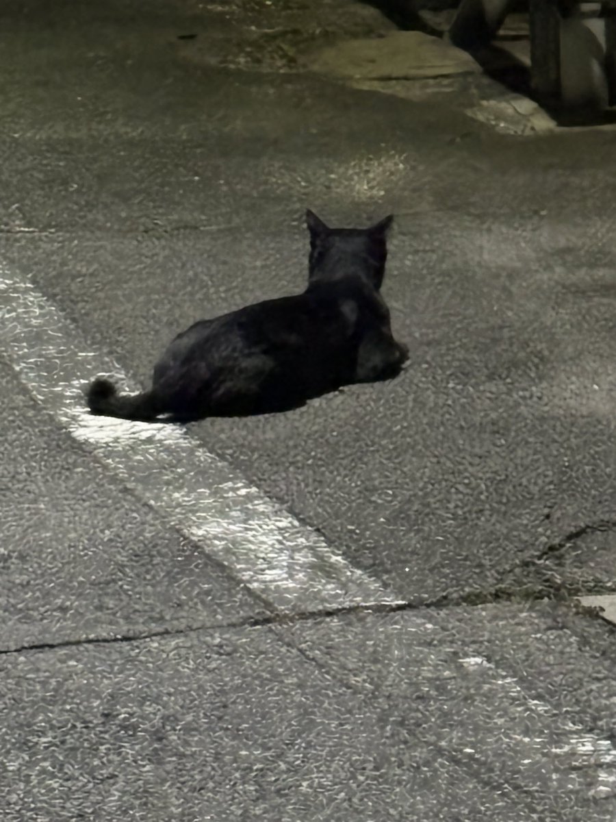 佐々木隆行 CloudMusic @StudioMutec tweet media