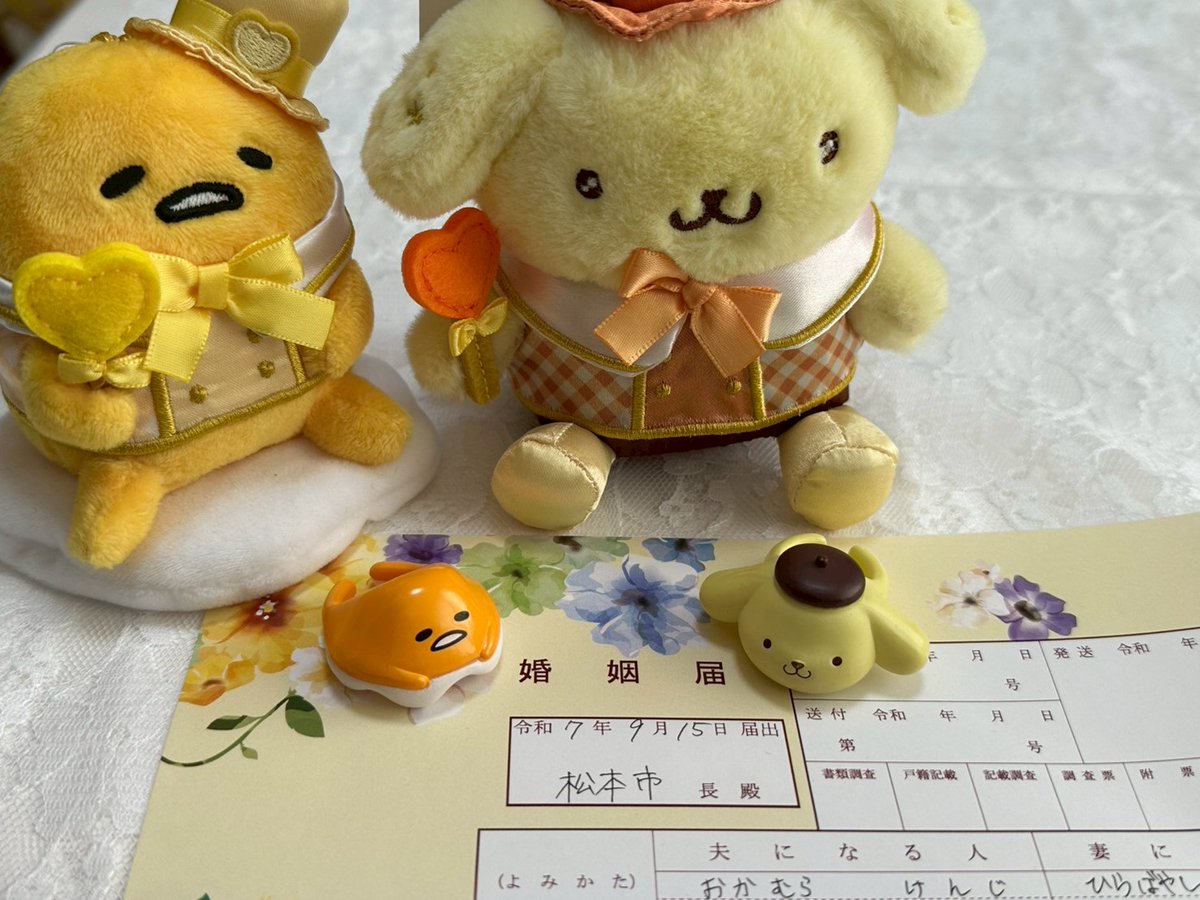 オカピ (@okaokapiiya) / Posts / X