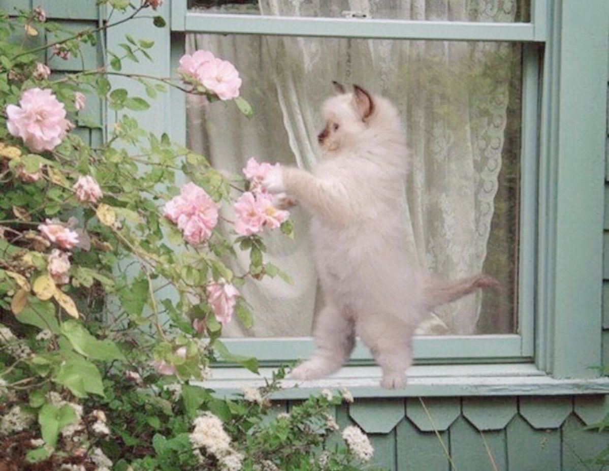 prtygal777's tweet image. Obsessed with whatever this vibe is