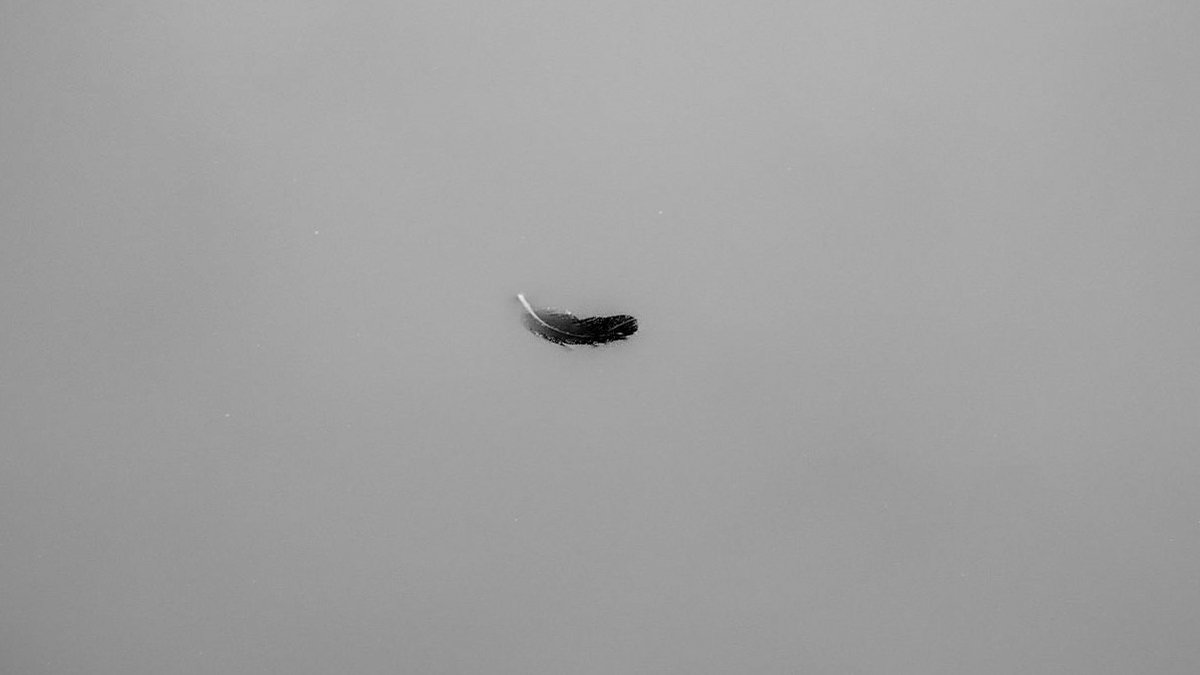 miyanosun's tweet image. In my dream.