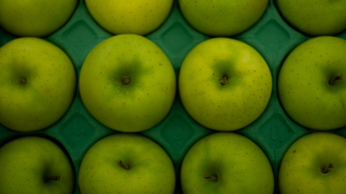 miyanosun's tweet image. In my dream.