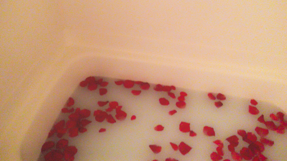 miyanosun's tweet image. In my dream.