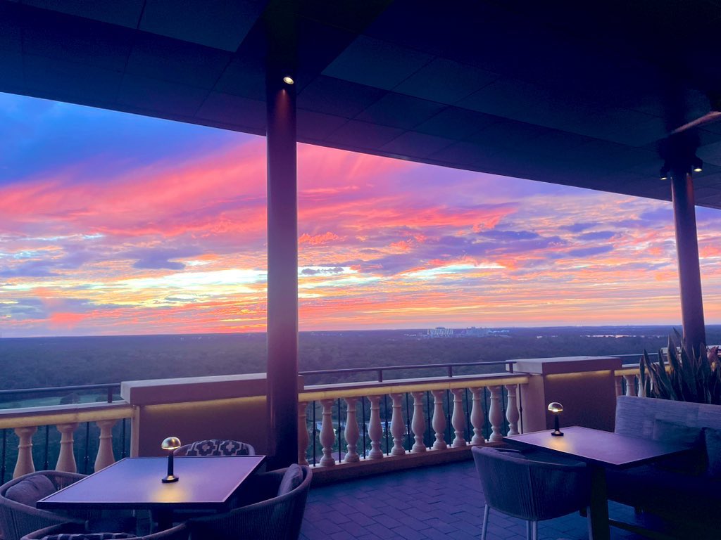 I’m in Florida. The weather has been amazing (we love your warm rain and sunshine)! The service is great. The people we’ve met have been fun, friendly &amp; kind. We’ve had a blast. 
I ❤️ THE USA. 
Tomorrow we fly home…. 
God bless America 
#flower #garden #Gardening #USA