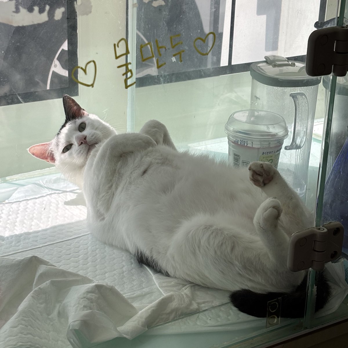 구조 직후                                 현재 모습