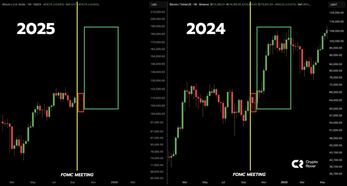 Crypto Rover tweet media