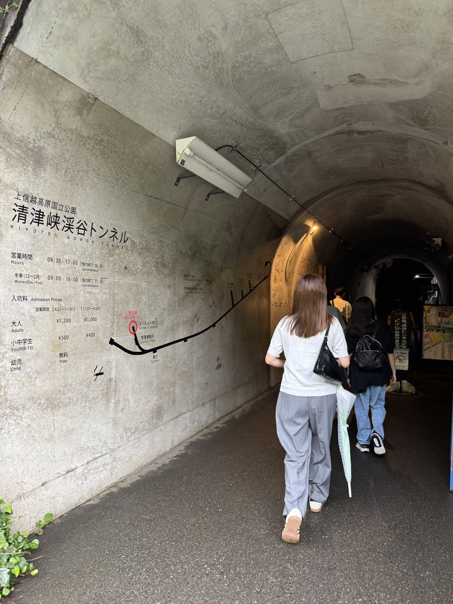 springo🍏 tweet media